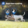 PetSafe Guardian GPS   Tracking Dog Fence Collar  Wireless Dog Fence with Real
