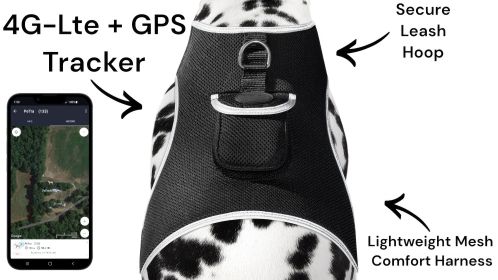 NEW Buckle Clipped Dog Track Portable GPS GSM Location Tracking Device Size:XL
