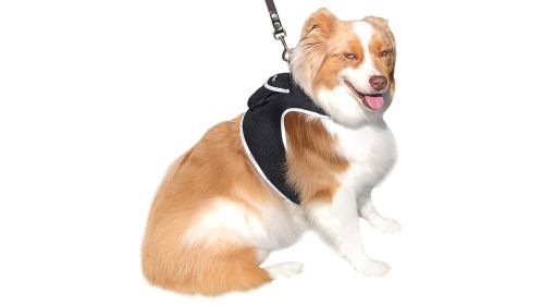 NEW GPS Tracking Dog Device Collar Mount Realtime Pet Wireless Locator Size:XL