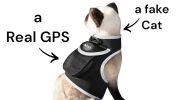 Rechargeable Dog Cat Realtime Mini Pet Locator GPS Collar Tracker NEW Size:S