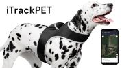 NEW GPS Tracking Dog Device Collar Mount Realtime Pet Wireless Locator Size:XL