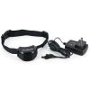 PetSafe Stay   Play Wireless Dog Fence Collar